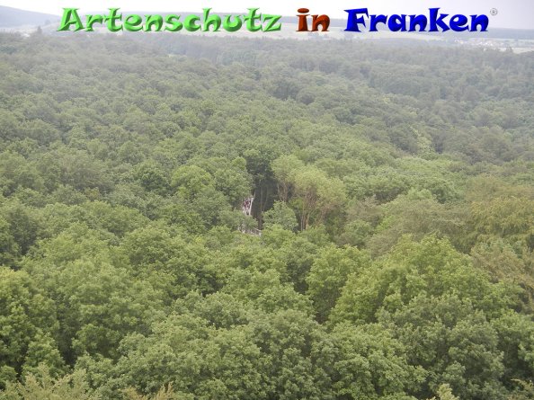 Bild zum Eintrag (84273-160)