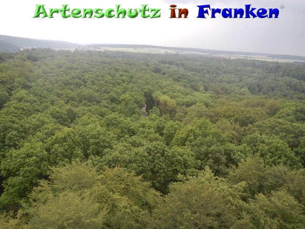 Bild zum Eintrag (84274-160)