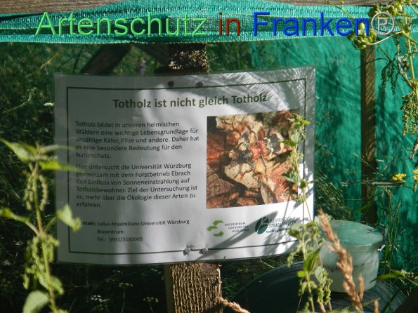 Copyright AiF- Franziska Palmer Bild zum Eintrag (85971-160)