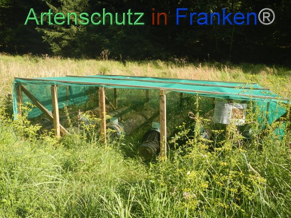 Copyright AiF- Franziska Palmer Bild zum Eintrag (85972-160)