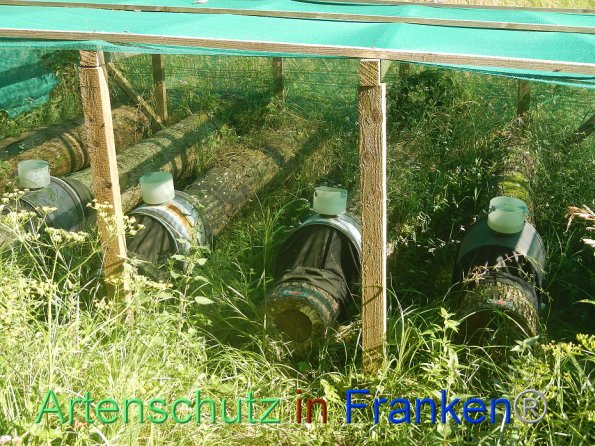 Copyright AiF- Franziska Palmer Bild zum Eintrag (85978-160)