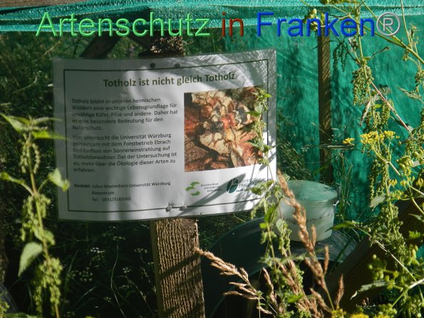 Copyright AiF- Franziska Palmer Bild zum Eintrag (85980-160)