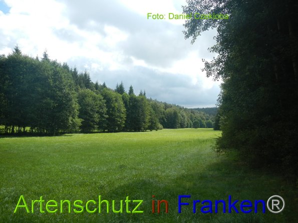 Copyright AiF Daniel Czekioba Bild zum Eintrag (86160-160)