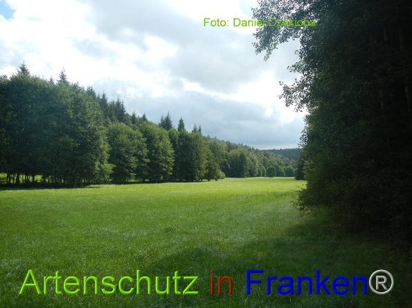 Bild zum Eintrag (86160-160)