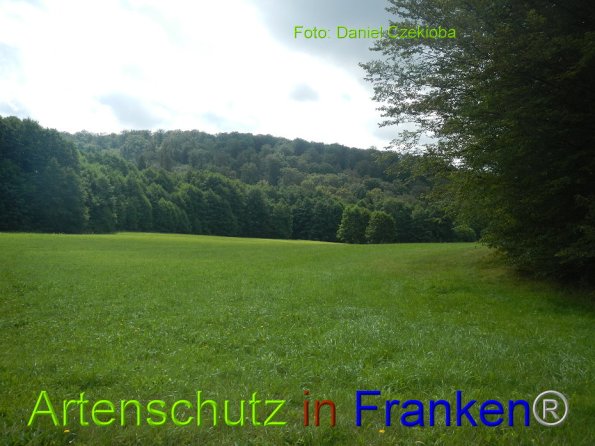 Bild zum Eintrag (86170-160)