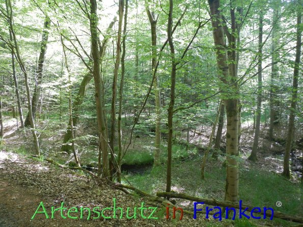 Bild zum Eintrag (86340-160)