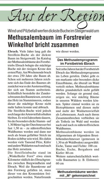 Copyright AiF - Steigerwald Kurier 1211 Jg 24 Bild zum Eintrag (87624-160)