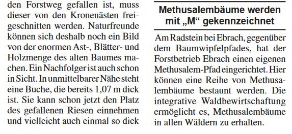 Copyright AiF - Steigerwald Kurier 1211 Jg 24 Bild zum Eintrag (87625-160)