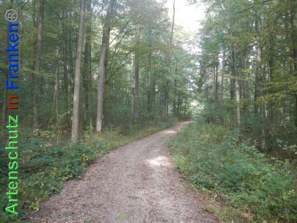 Bild zum Eintrag (87810-160)