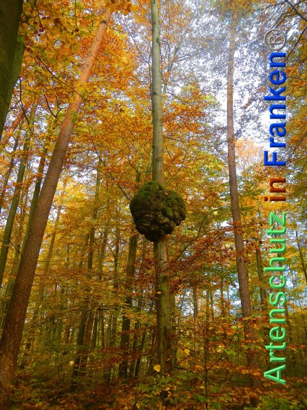 Copyright AiF Simone Klaas Bild zum Eintrag (88253-160)