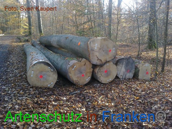 Copyright AiF Sven Kaupert Bild zum Eintrag (88702-160)