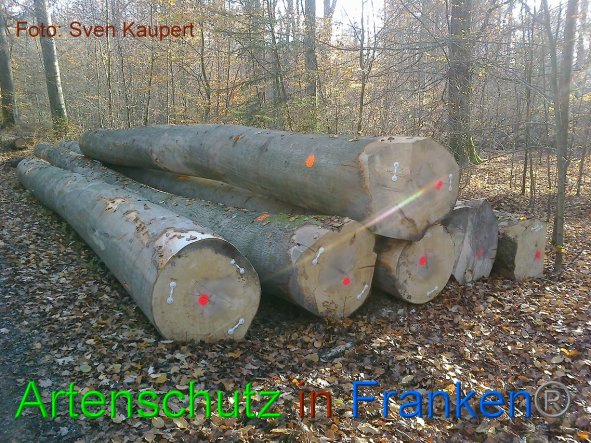Copyright AiF Sven Kaupert Bild zum Eintrag (88703-160)