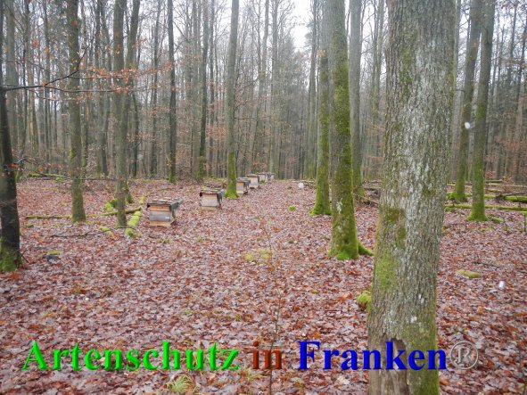 Bild zum Eintrag (89345-160)