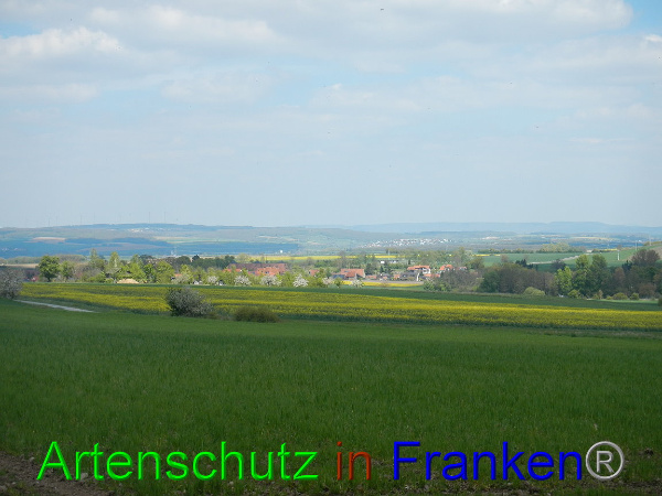 Bild zum Eintrag (91249-160)