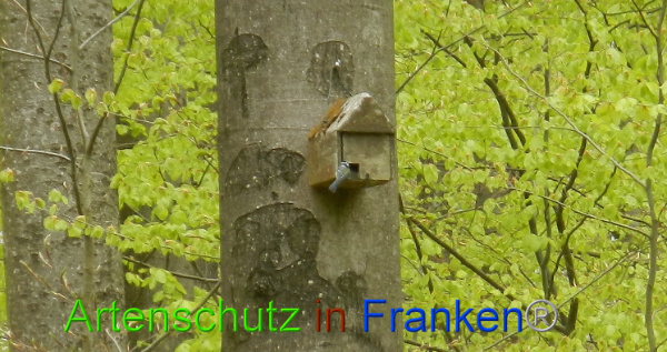 Bild zum Eintrag (91422-160)