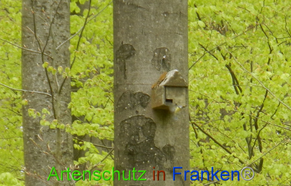 Bild zum Eintrag (91424-160)