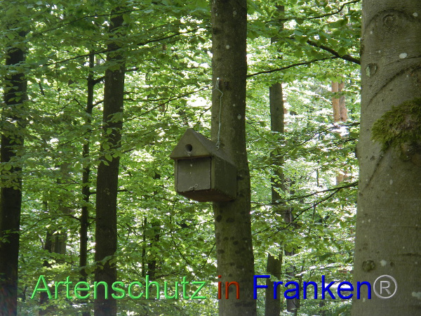 Bild zum Eintrag (91679-160)