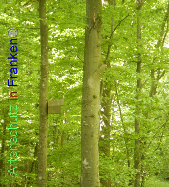 Bild zum Eintrag (91681-160)