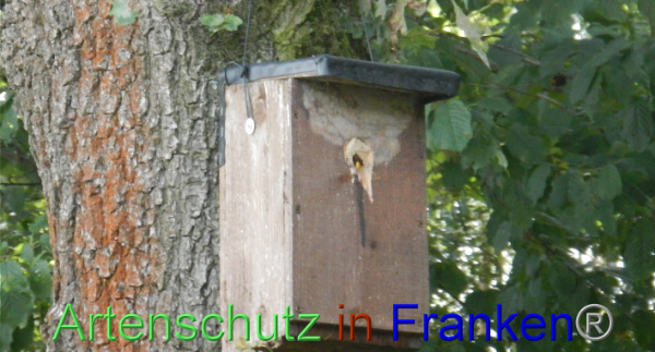 Bild zum Eintrag (94955-160)