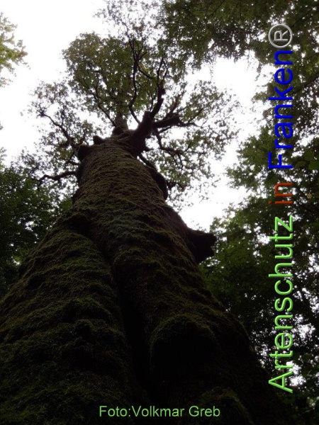 Copyright AiF / Volkmar Greb Bild zum Eintrag (95883-160)