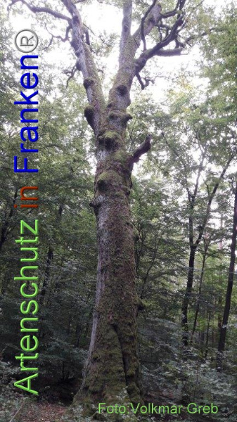 Copyright AiF / Volkmar Greb Bild zum Eintrag (95884-160)