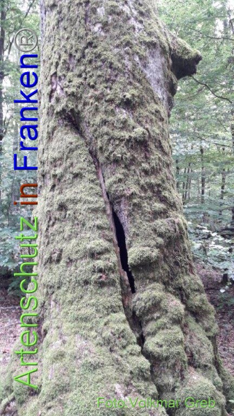 Copyright AiF / Volkmar Greb Bild zum Eintrag (95885-160)