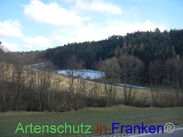 Bild zum Eintrag (98629-160)