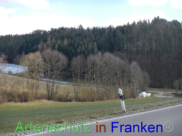 Bild zum Eintrag (98630-160)