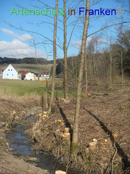 Bild zum Eintrag (98638-160)