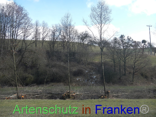 Bild zum Eintrag (98644-160)