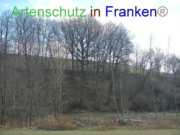 Bild zum Eintrag (98645-160)