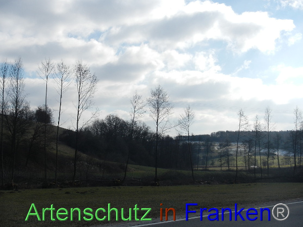 Bild zum Eintrag (98646-160)