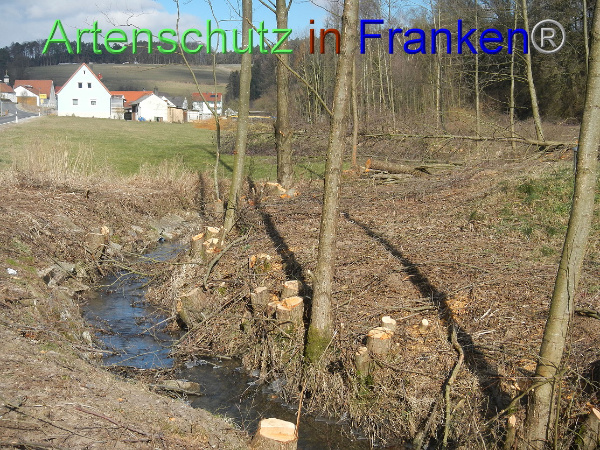 Bild zum Eintrag (98648-160)