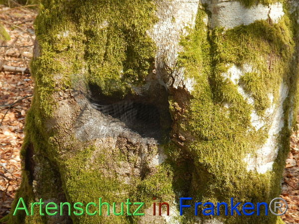 Bild zum Eintrag (99103-160)