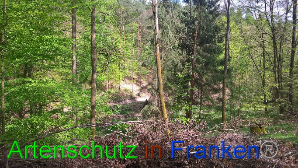 Bild zum Eintrag (99566-160)