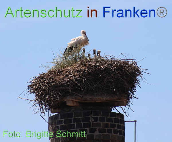 Copyright AiF Brigitte Schmitt Bild zum Eintrag (100077-160)