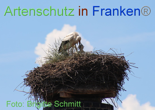 Copyright AiF Brigitte Schmitt Bild zum Eintrag (100078-160)