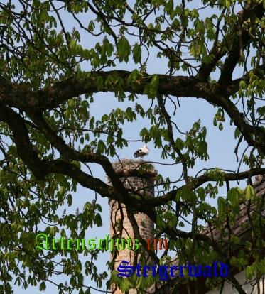 Copyright AiS / Schmitt Bild zum Eintrag (1071928-160)