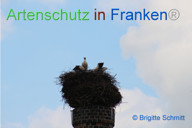 Bild zum Eintrag (1106477-160)