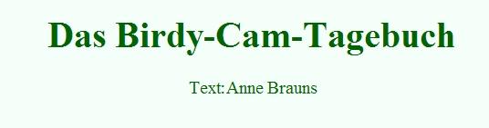 Copyright AiS / www.birty-cam.de Bild zum Eintrag (21029-160)
