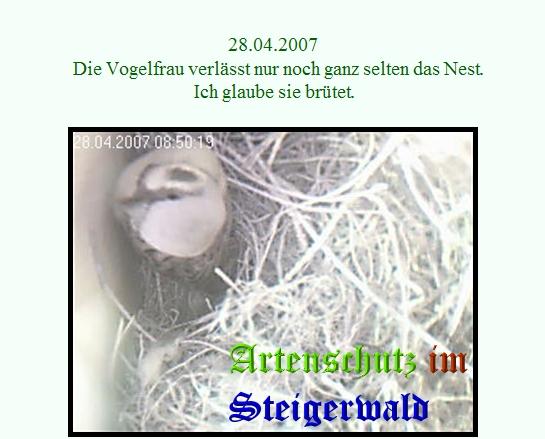 Copyright AiS / www.birty-cam.de Bild zum Eintrag (21035-160)