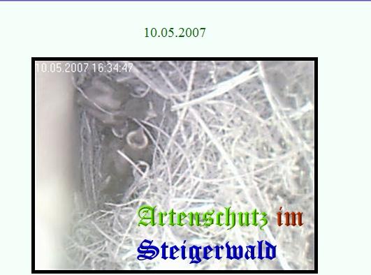 Copyright AiS / www.birty-cam.de Bild zum Eintrag (21036-160)
