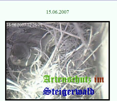 Copyright AiS / www.birty-cam.de Bild zum Eintrag (21039-160)