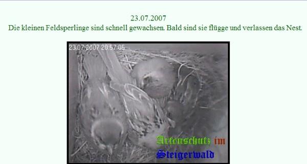 Copyright AiS / www.birty-cam.de Bild zum Eintrag (21040-160)