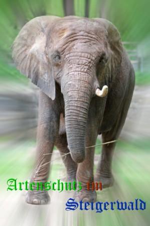 Copyright AiS / Gehrig Bild zum Eintrag (26296-160)