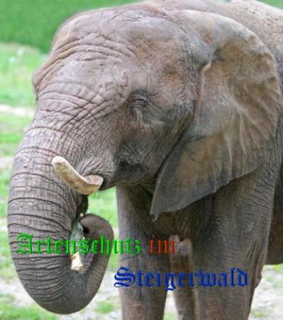 Copyright AiS / Gehrig Bild zum Eintrag (26297-160)