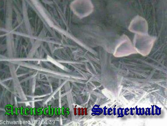Copyright AiS / 2010 Bild zum Eintrag (27065-160)