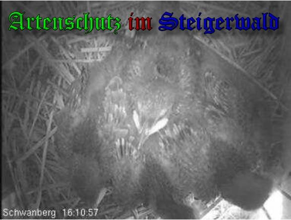 Copyright AiS / 2010 Bild zum Eintrag (27074-160)