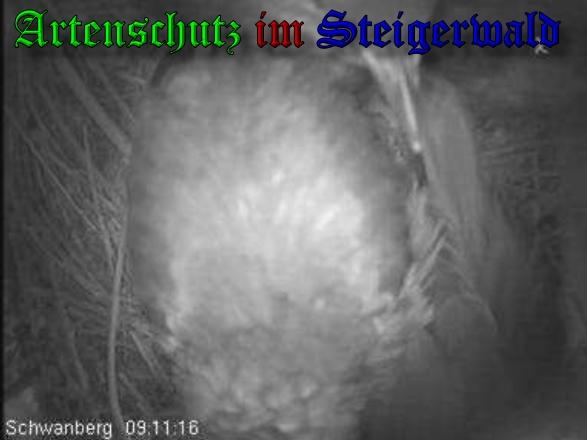 Copyright AiS / 2010 Bild zum Eintrag (27075-160)