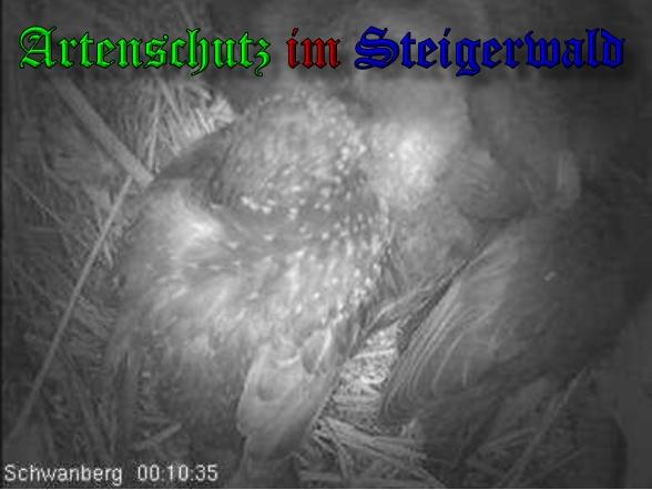 Copyright AiS / 2010 Bild zum Eintrag (27076-160)